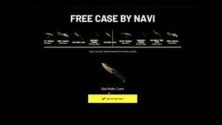 NATUS VINCERE GIVEAWAY BEST DISTRIBUTION IN THE 2020! FREE SKINS IN CSGO!