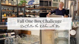 One Box Decluttering Challenge - 1000 Items Going Out of My Home, One Box at a Time!