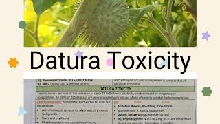 Datura Toxicity clincial features and managment