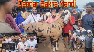 Deonar Ke Expensive Goats | Arif Naseem Khan In Deonar | BMC Ke Kya Hai Intezam.