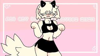 SAD CAT DANCE animation meme +15