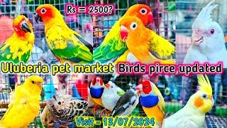 Uluberia pet market . Birds pirce updated  13.07.2024 . Uluberia pakhir haat . #cheapest #sale