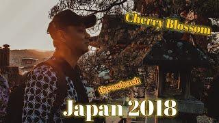 Japan Trip 2018 (Instastory) ~ Cherry Blossom || throwback moment