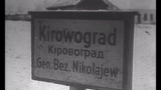 Кировоградская операция, Освобождение Кировограда.