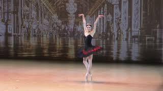 02/12/18 Anastasia Soboleva and Viktor Lebedev Swan Lake