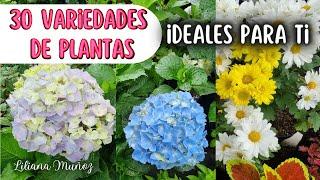 30 VARIEDADES DE PLANTAS que te van a encantar/LILIANA mUÑOZ