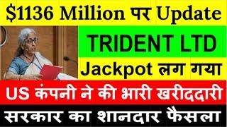 Trident latest news today|Trident news|Trident stock|Trident share target 2024|trident Q2 update