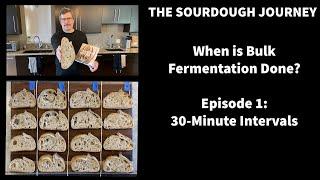When is Bulk Fermentation Done? - Episode 1 : “The 30 Minute Effect”