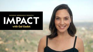 IMPACT episode 5: "Killer Red Fox" | National Geographic Presents: IMPACT with Gal Gadot