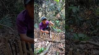 video short yos hav zoov cuab nas #animal #hunting #huntingbus #yoshavzoov #เดินป่า #happyhunting