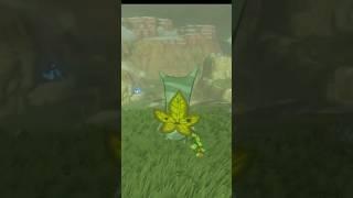 Getting Distracted | Breath of the Wild