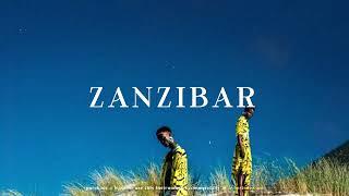 Wizkid x Afrobeat Type Beat - "Zanzibar" | Afrobeat Instrumental 2025