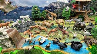 Diorama Safari World With natural Background - owls Giraffe Lion Parrot camel