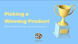 Picking a Winning e-commerce  Product