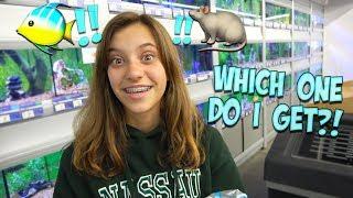 A NEW PET FOR JAYLA!! WILL HER PARENTS SAY YES?!
