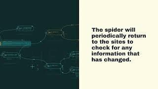 What Is A Web Crawler and How Do They Work?