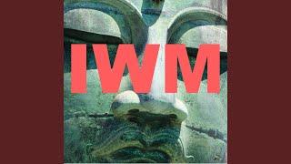 Theme From I.w.m.