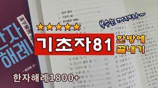 기초자81 한방에 끝내기