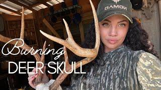 Burning a Whitetail Deer European Skull Mount