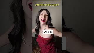 DİLBER PARODİ