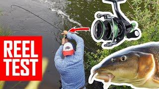 Barbel float fishing and budget reel test. Seaknight Windrunner III X better than Daiwa and Shimano?