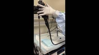 Scope Precleaning Video, Endoscopy