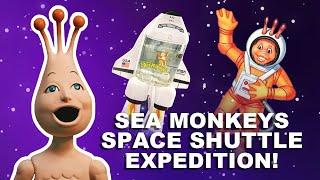 Sea-Monkeys Space Shuttle | RARE!