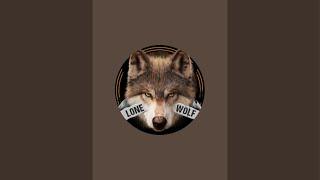 Lone Wolf Studio music making