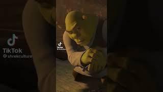 Shrek lightskin stare meme #memes #funny #youlaughyoulose #shrek #lowquality