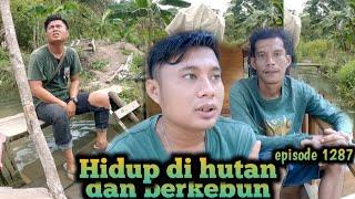 bang komri pamit mengundurkan diri dari konten warta petani muda hidup di hutan