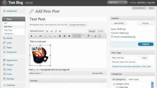 How to Create a New Post in Wordpress