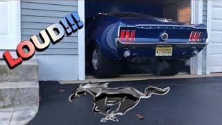 1968 Mustang Fastback Cammed Big Block Prostreet Out Of Hibernation! Loud Exhaust!