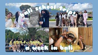 VLOG | bali school trip pt 1️: pura ulundanu bedugul, bali zoo, desa panglipura, etc!