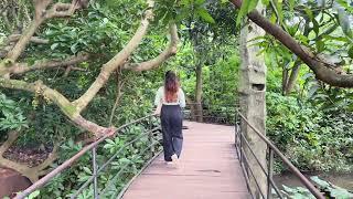 Little vlog at Dehiwala Zoo | පොඩි කාලෙන් පස්සෙ අපිට යන්න බැරි වුන තැනක්