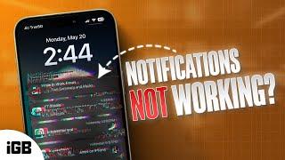 How to Fix iPhone Notification Not Working After iOS 17.5? 