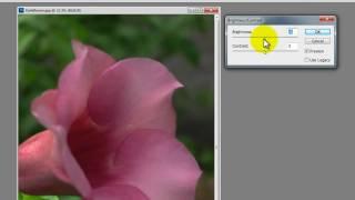 Adobe Photoshop CS5 (Basic Photo Editing)