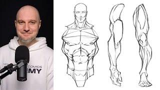 How to Draw Anatomy for Men - Front View (Basic Anatomy of The Male Figure)