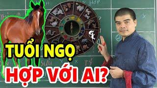 Tuổi NGỌ (tuổi con NGỰA) hợp với ai KẾT HỢP LÀM ĂN - KẾT HÔN - SINH CON hợp tuổi nào? Kỵ tuổi nào?