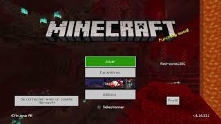 Minecraft_20210603104549