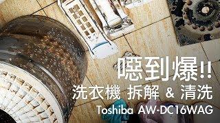 Washing Machine Disassembly and Cleaning Toshiba AW-DC16WAG [OMG CRAFTS]