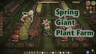 Don't Starve Together Guide -  Spring  Giant Plants Farm