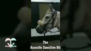Acavallo Sensitive Bit Review