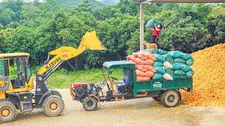 Harvesting a Truckload of Corn From Villagers To Sell - Farm Life - Daily Farm