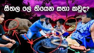සීතල ලේ තියෙන සතා කවුද? ️ | Cold-Blooded Animals Explained! | Sri Lanka Sinhala Education