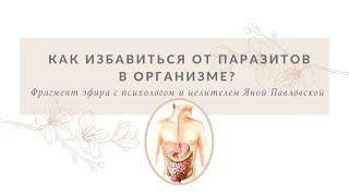 Как избавиться от паразитов в организме? Отвечает Яна Павловская