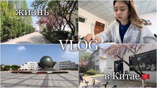 [VLOG]Один день из моей жизни в КитаеNUFE#китай #жизньвкитае #university #одинденьизмоейжизни