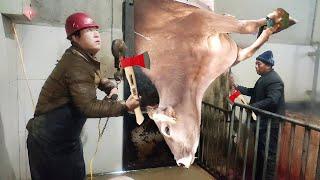 VIDEO Cow HOOF TRIMMING, Feeding, Milking, Cleaning, HOOF CARE, Pretty Girl - SMART FARM #withme