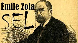 "SEL" Emile ZOLA sesli kitap tek parça Akın ALTAN