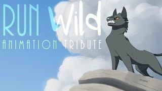 Run Wild // Animation Tribute