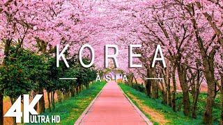 FLYING OVER KOREA (4K UHD) - Relaxing Music Along With Beautiful Nature Videos - 4K Video Ultra HD